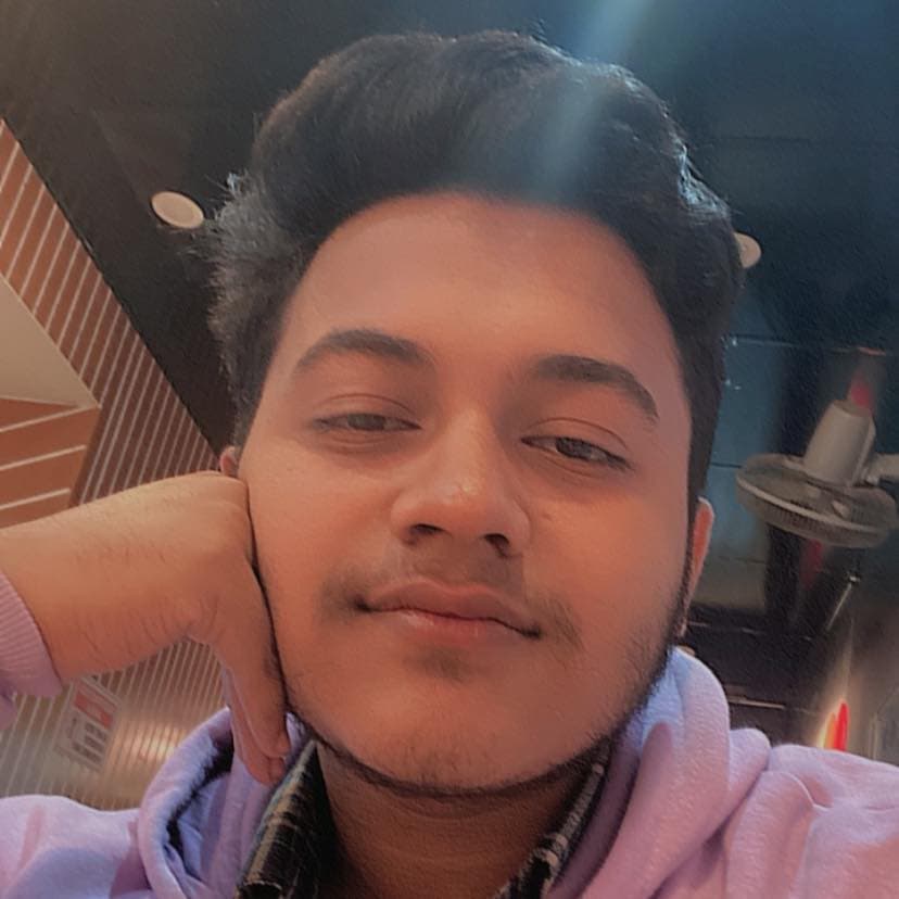 Ehsanul H. Rizvy
